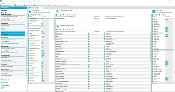 Figure 7: The ABAP connector provides deep-level attribute mapping, as well as the ability to map custom attributes. 